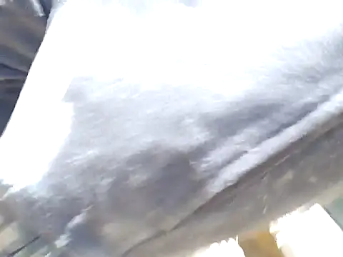 Snapshot of Diablo9804 chatting on 03-10-26, 06:45 Diablo9804 online show from 03-10-26, 06:45