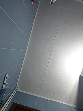 Snapshot of Govora chatting on 12-29-24, 11:07 Govora online show from 12-29-24, 11:07