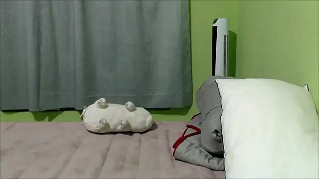 YummymeowW online show from 12-14-24, 03:06