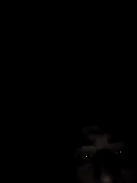 Snapshot of SpeedMagnumBlade6669 chatting on 02-14-26, 07:19 SpeedMagnumBlade6669 online show from 02-14-26, 07:19