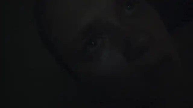 Snapshot of FrumCake chatting on 01-15-25, 12:41 FrumCake online show from 01-15-25, 12:41