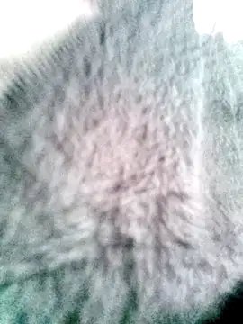 Snapshot of __valentina18 chatting on 03-20-25, 07:46   valentina18 online show from 03-20-25, 07:46