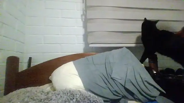 hung weeb online show from 07-26-26, 05:14