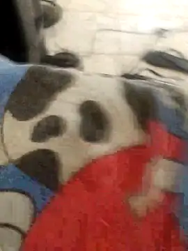 Snapshot of vcsxvbx chatting on 02-15-26, 05:23 vcsxvbx online show from 02-15-26, 05:23