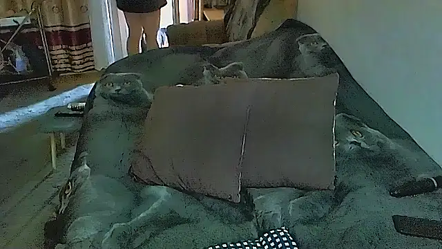 sex2 online show from 11-05-25, 01:09