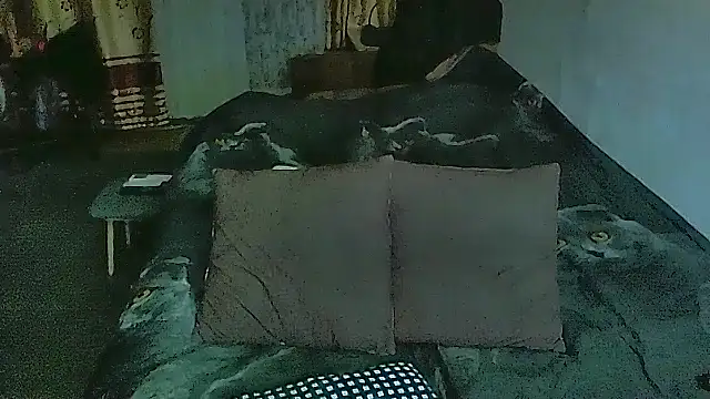 sex2 online show from 03-03-26, 09:55