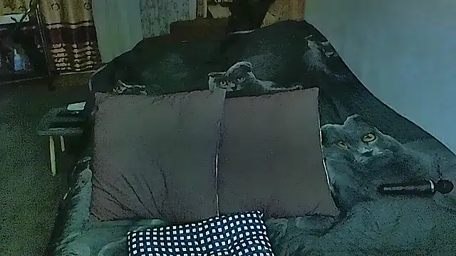 sex2 online show from 10-20-25, 09:26