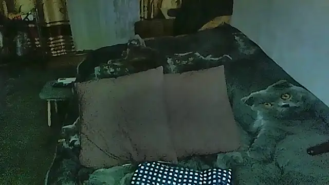 sex2 online show from 03-24-26, 11:38