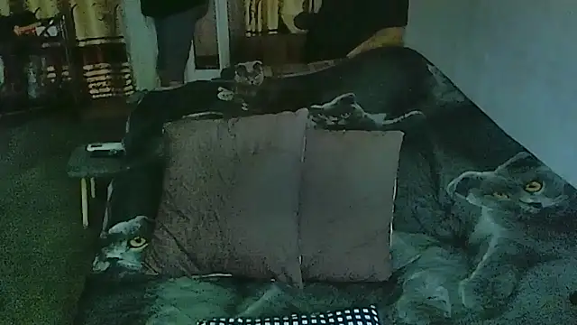 sex2 online show from 03-30-26, 12:12