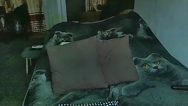 sex2 online show from 02-11-26, 11:15