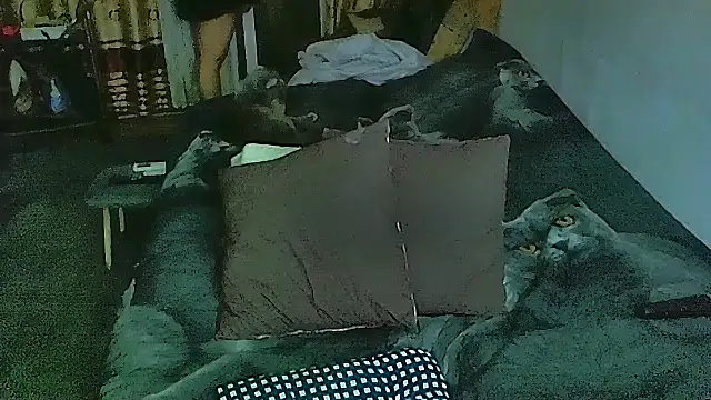 sex2 online show from 12-01-25, 10:10