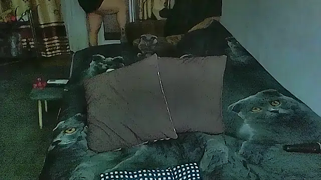 sex2 online show from 04-13-26, 11:20