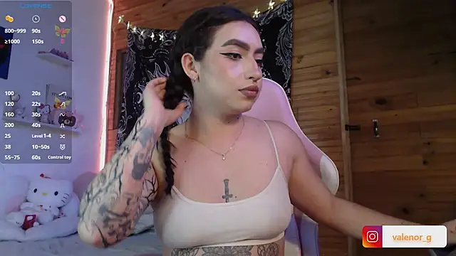 Snapshot of valenor_ chatting on 02-22-25, 03:01 valenor online show from 02-22-25, 03:01