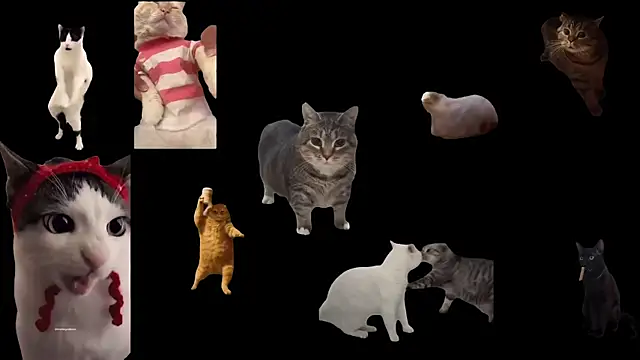 aberaaruba online show from 11-12-25, 11:36