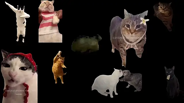 aberaaruba online show from 11-13-25, 01:26