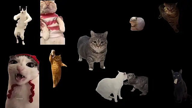 aberaaruba online show from 11-24-25, 03:23