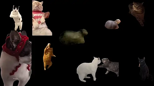 aberaaruba online show from 11-20-25, 02:51