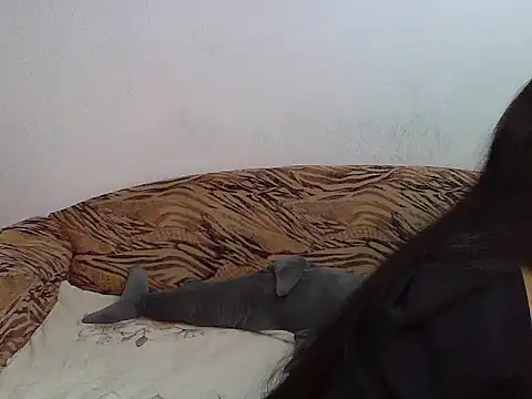 Aleksa Blackdream online show from 11-28-25, 10:21