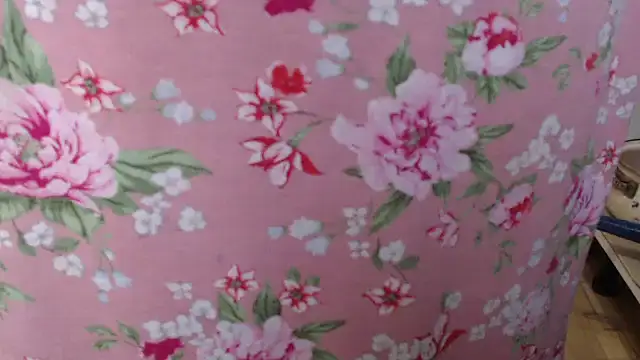 Anabelldestiny online show from 11-19-25, 06:46