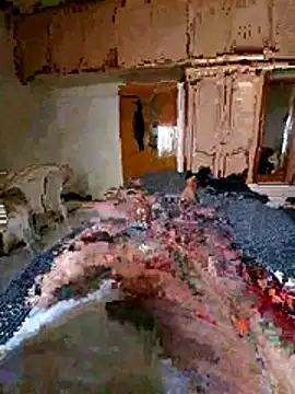 vansh1802 online show from 04-05-26, 07:04