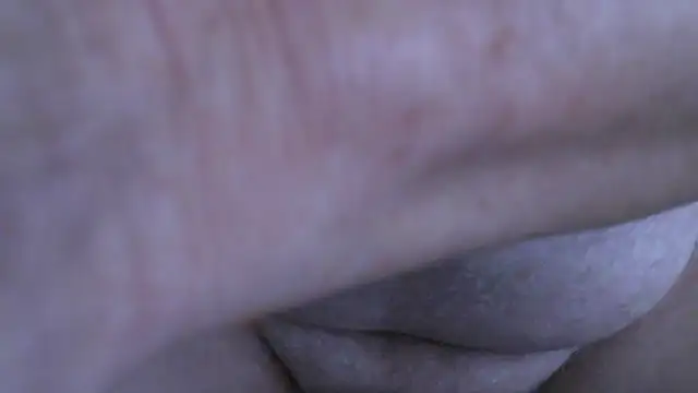 Snapshot of jungle644 chatting on 05-15-26, 04:43 jungle644 online show from 05-15-26, 04:43