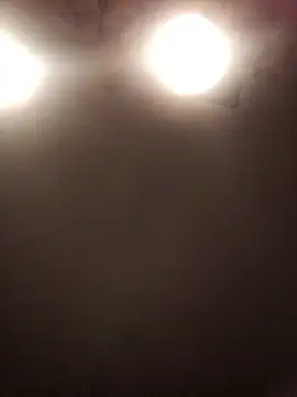 Snapshot of lilianashemale chatting on 11-01-25, 03:13 lilianashemale online show from 11-01-25, 03:13