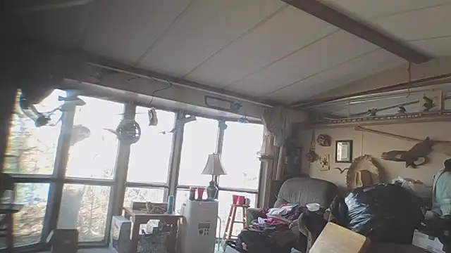 Yankeedave420 online show from 11-14-25, 05:27