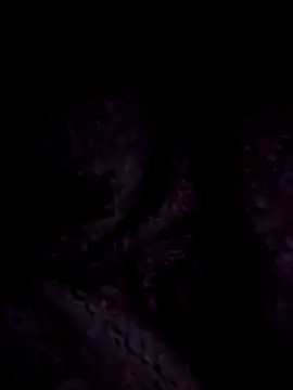 Snapshot of ScarletCallings420 chatting on 12-22-24, 09:20 ScarletCallings420 online show from 12-22-24, 09:20