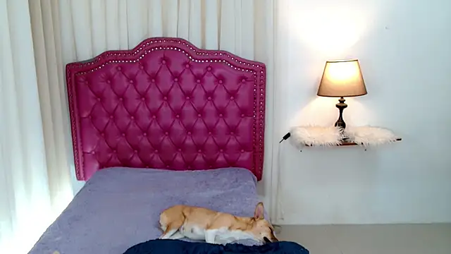 DreamLADYBOY online show from 02-24-26, 01:06