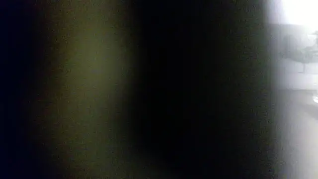 palidin1 online show from 02-01-26, 07:50