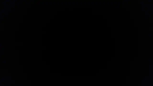 palidin1 online show from 11-25-25, 10:37