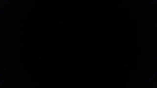 palidin1 online show from 12-05-25, 07:45