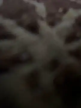 HHHHHxxn online show from 05-01-26, 09:42