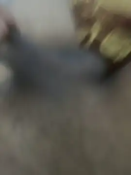 HHHHHxxn online show from 03-24-26, 05:29