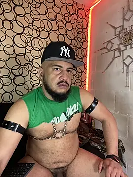 the master foal  online show from 02-27-26, 07:03