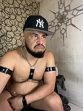 the master foal  online show from 03-13-26, 12:43