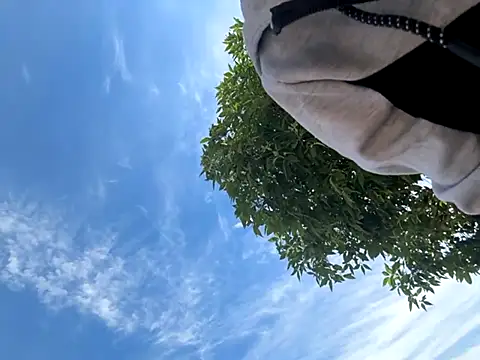 kingdennis6666 online show from 09-17-25, 07:27