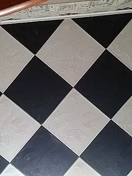 Rini333 online show from 12-17-25, 06:18