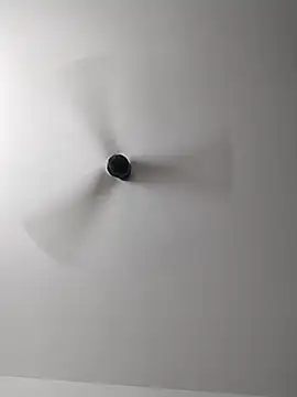 Snapshot of Srishtijain51 chatting on 02-14-25, 08:21 Srishtijain51 online show from 02-14-25, 08:21