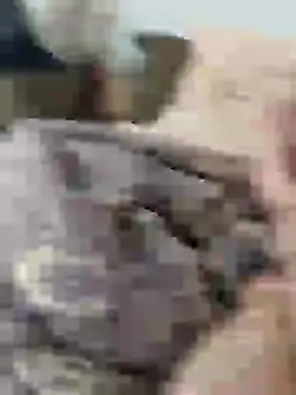 Yaramaz331 online show from 03-11-25, 10:29