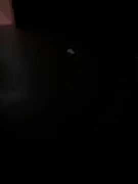 MALEHYPER online show from 12-02-25, 08:21