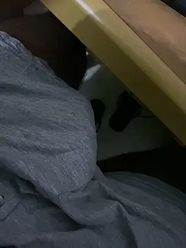 MALEHYPER online show from 10-04-25, 06:31