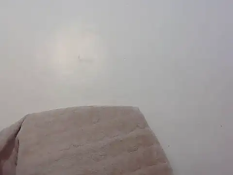 wild amber25 online show from 11-29-25, 08:14