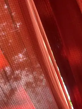 Snapshot of AlishyaJoi chatting on 07-01-26, 09:53 AlishyaJoi online show from 07-01-26, 09:53