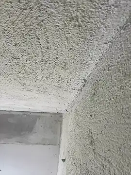 MarieLoveGlamorous online show from 02-26-25, 03:54