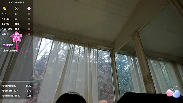 Snapshot of PixieLand chatting on 02-08-25, 01:11 PixieLand online show from 02-08-25, 01:11