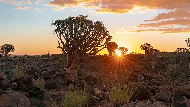 HannaMoom online show from 10-28-25, 10:52