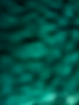 Jeck leo online show from 01-23-25, 09:29