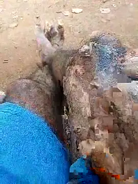 Royalk2030 online show from 02-28-26, 06:35