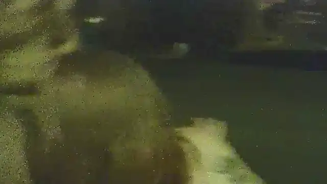 Profbadass69 online show from 03-27-26, 02:42